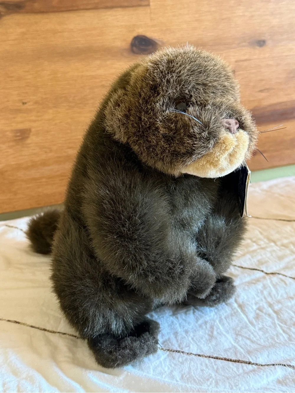 Smithsonian Institution Oceanic Collection Plush Sea Otter